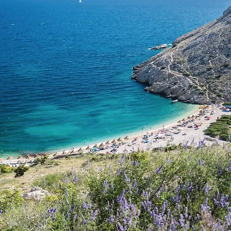 In With Wifi Daire *