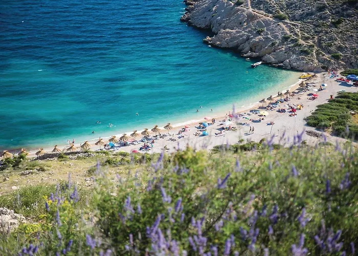 Appartement In With Wifi